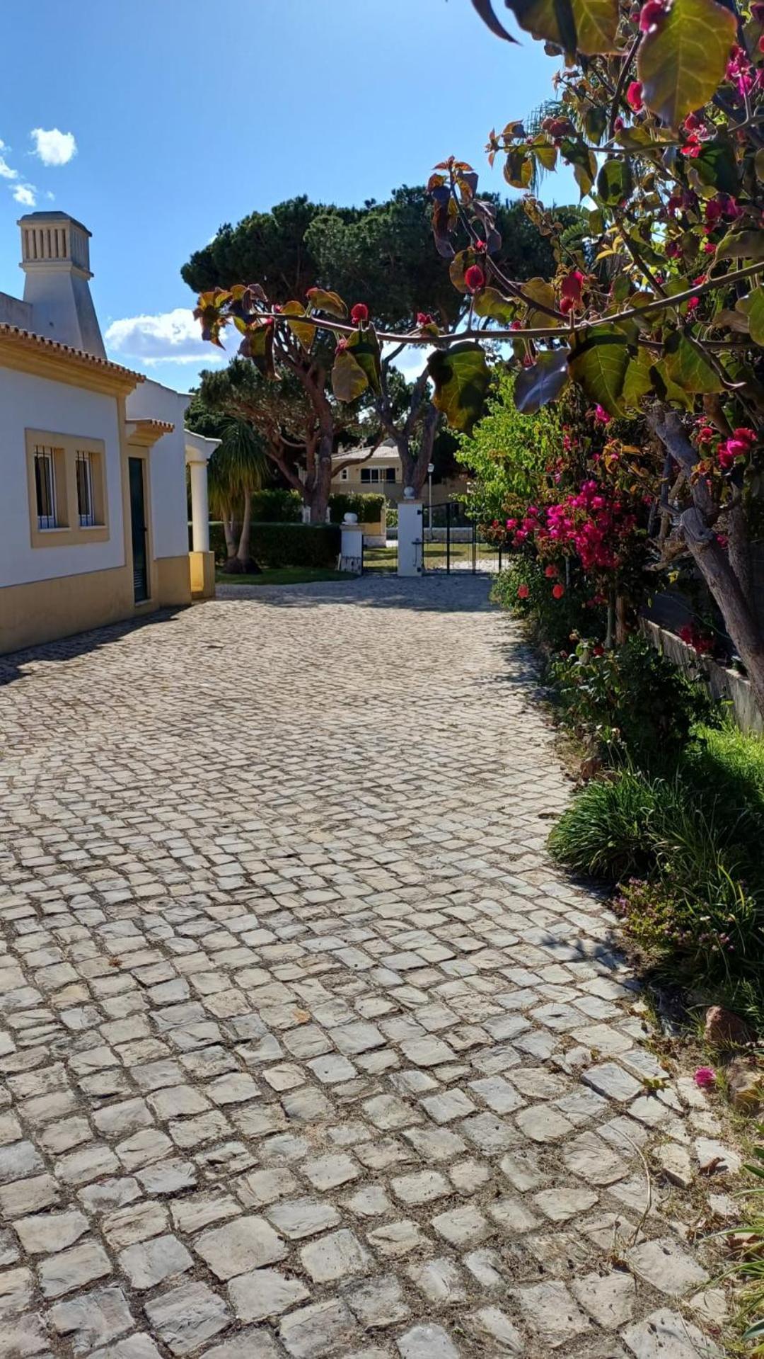 The Pinewood Villa فيلامورا المظهر الخارجي الصورة